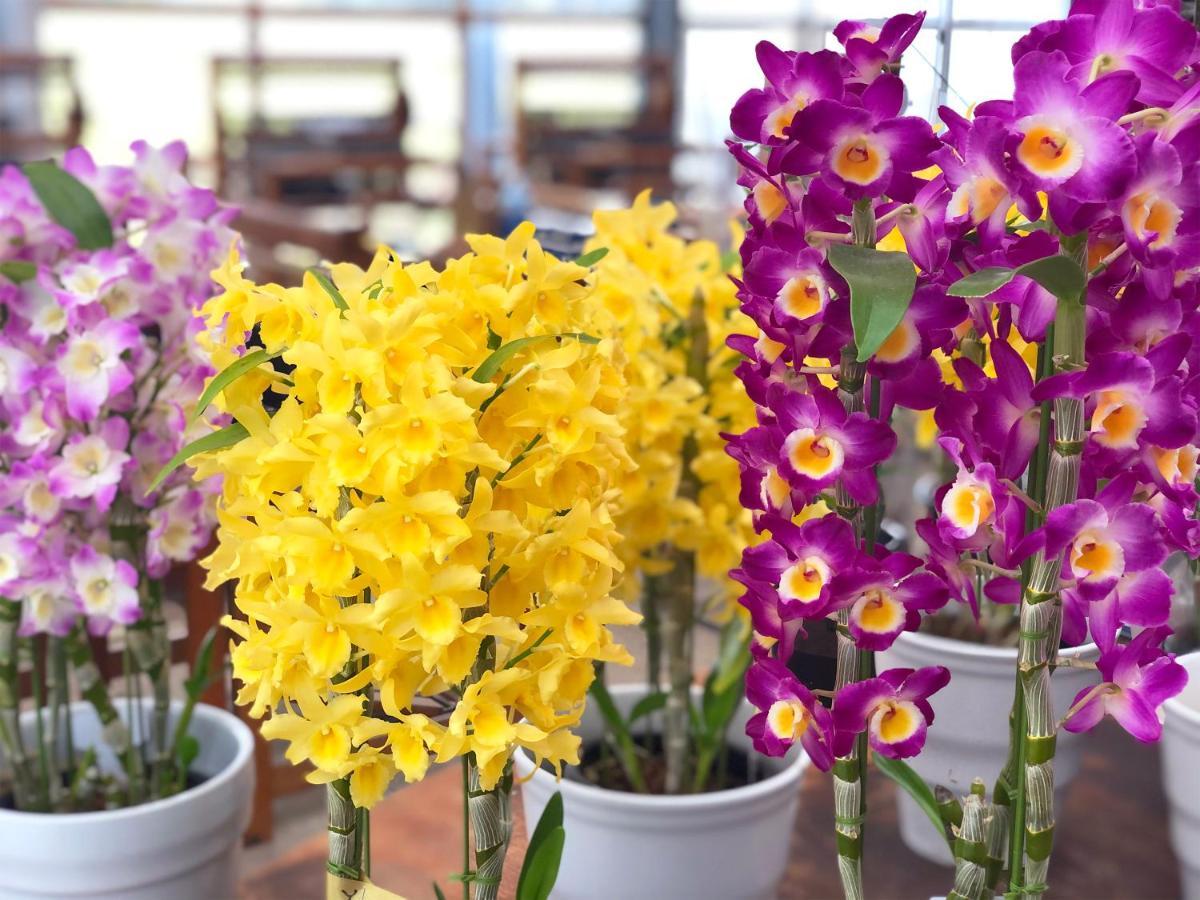 Yufuin Flora House Panzió Kültér fotó
